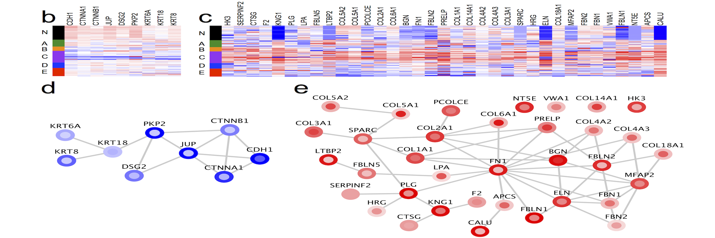 Zhang Lab Translating omics data into biological insights.