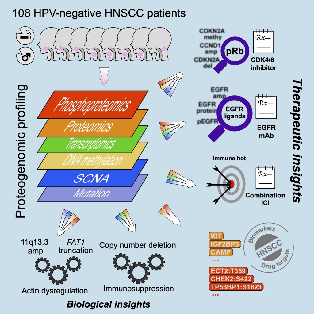 HNSCC_Graphic_Abstract