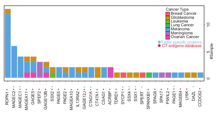 CT Antigens