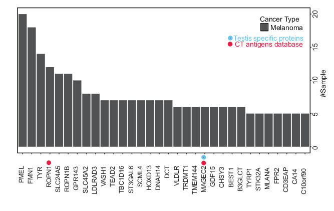 Cancer Associated Antigen