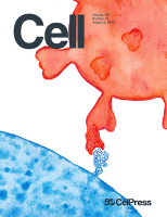 Featured image for Pan-cancer proteogenomics expands the landscape of therapeutic targets.
