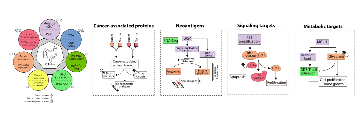 Research < Zhang Laboratory of Single-Molecule Biophysics